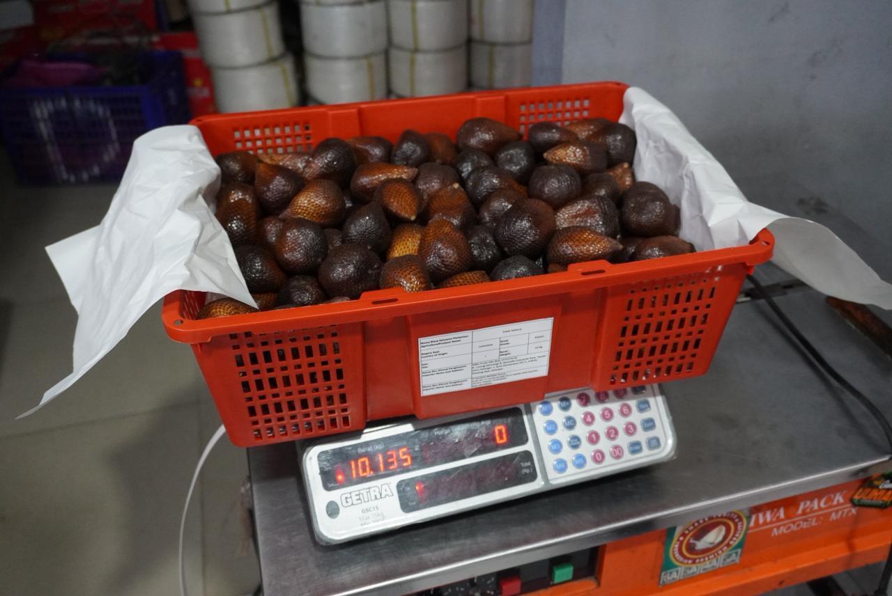 Fresh Salak Pondoh display