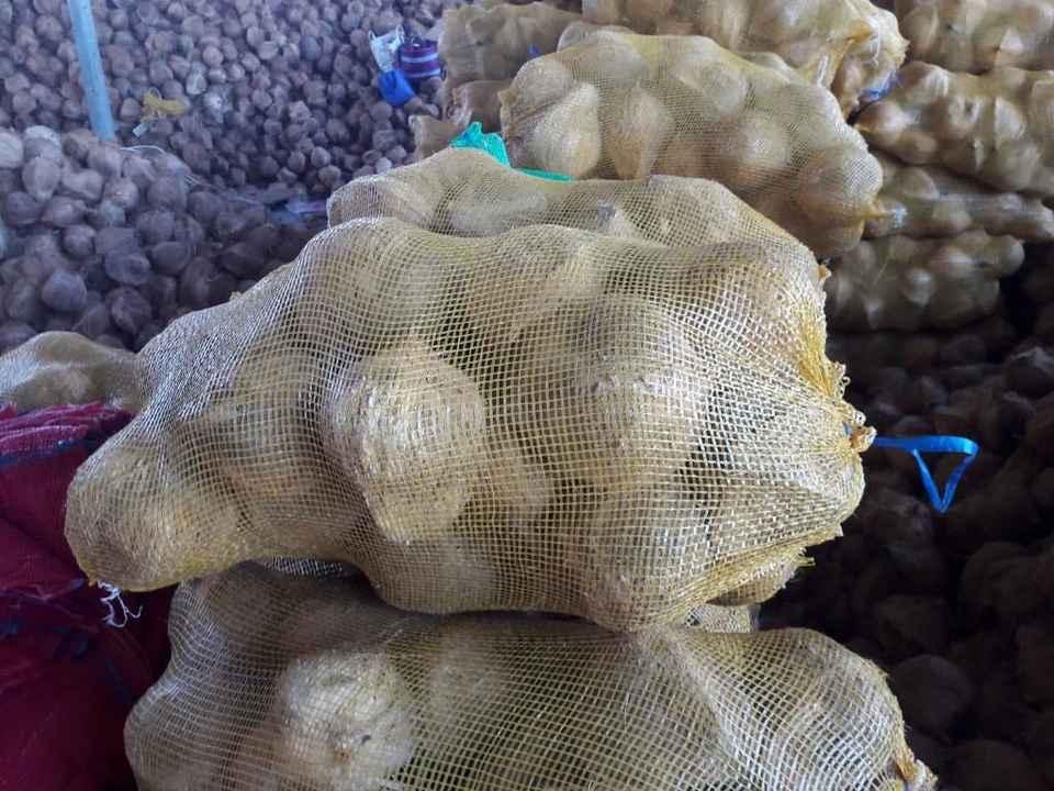 Coconuts Image 5