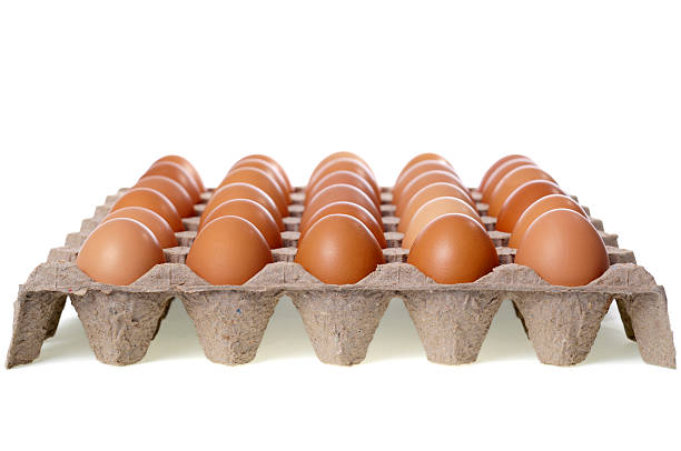 Top 5 Eggs Suppliers in Spain in Quarter 3 of 2025 – Urgent Market Update & Strategic Insights