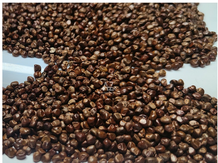 Highly Aromatic and Pleasant Taste 100% Pure Dried Black Cardamom Seeds from Reputed Wholesaler