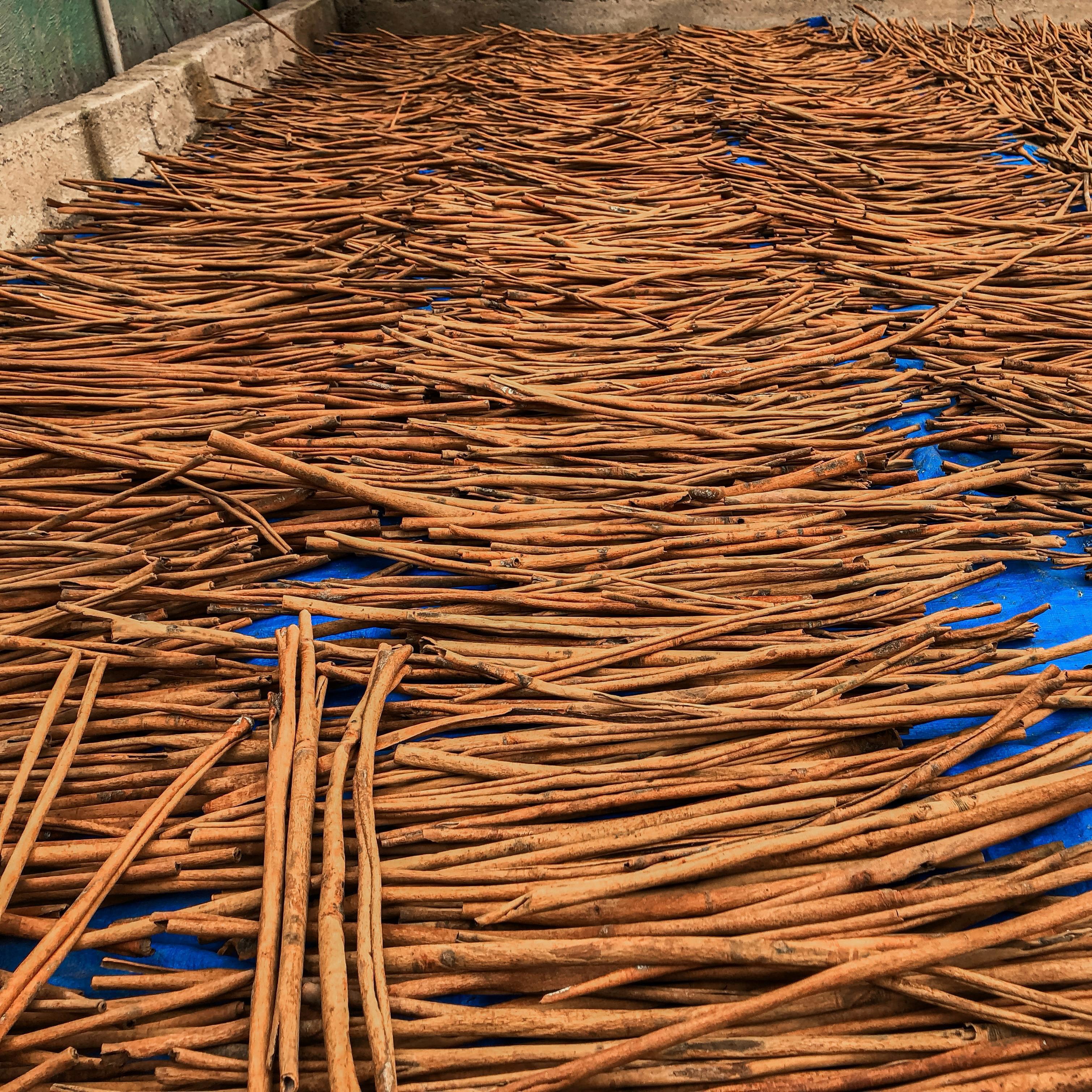 Cinnamon Sticks Image 2