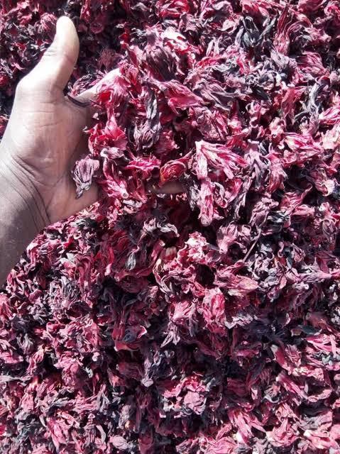 Hibiscus