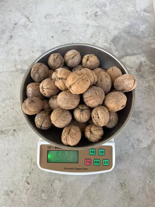 185 Walnuts Image 2