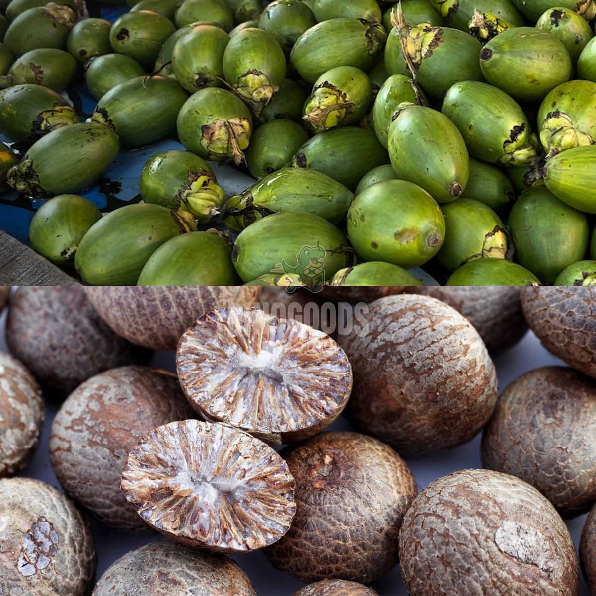 Vietnam Betel Nut - DinoGoods