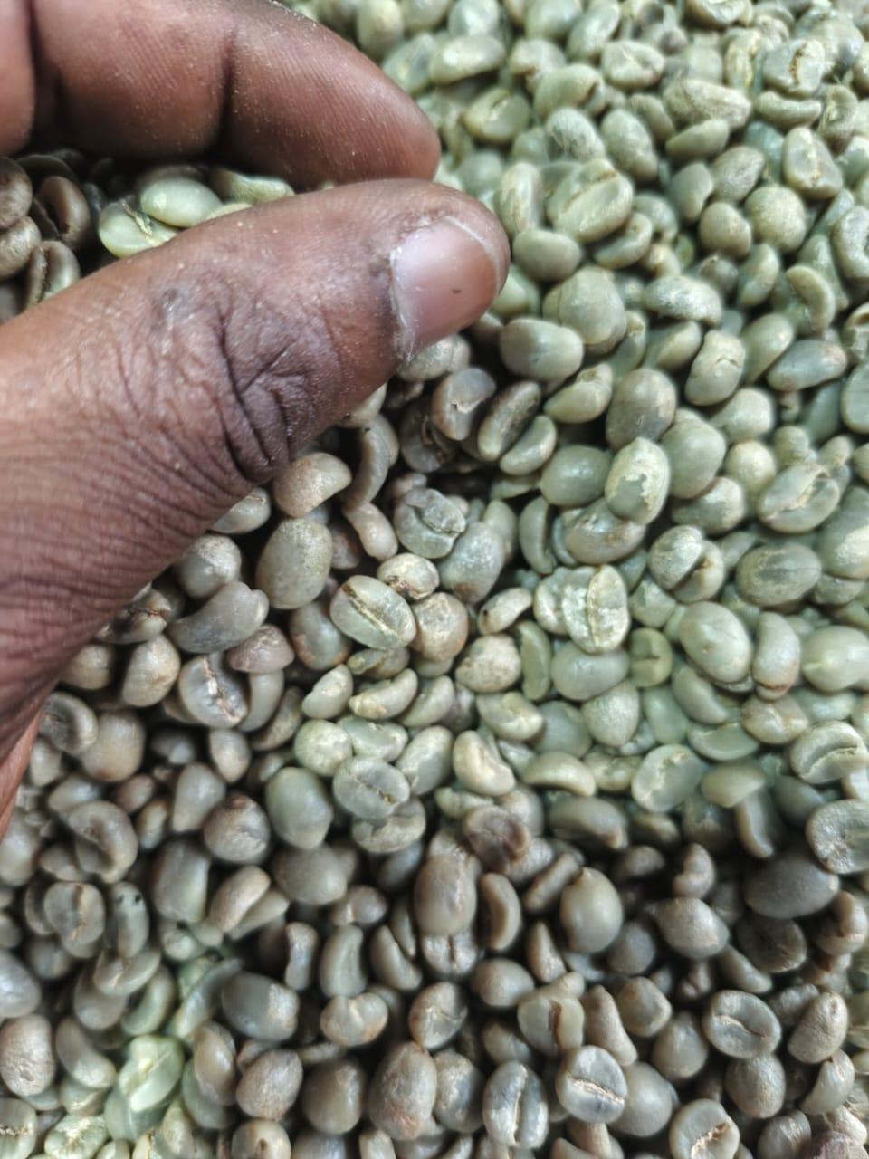 COFFEE ARABICA & ROBUSTA Origin TANZANIA Product Type COFFE ARABICA & ROBUSTA