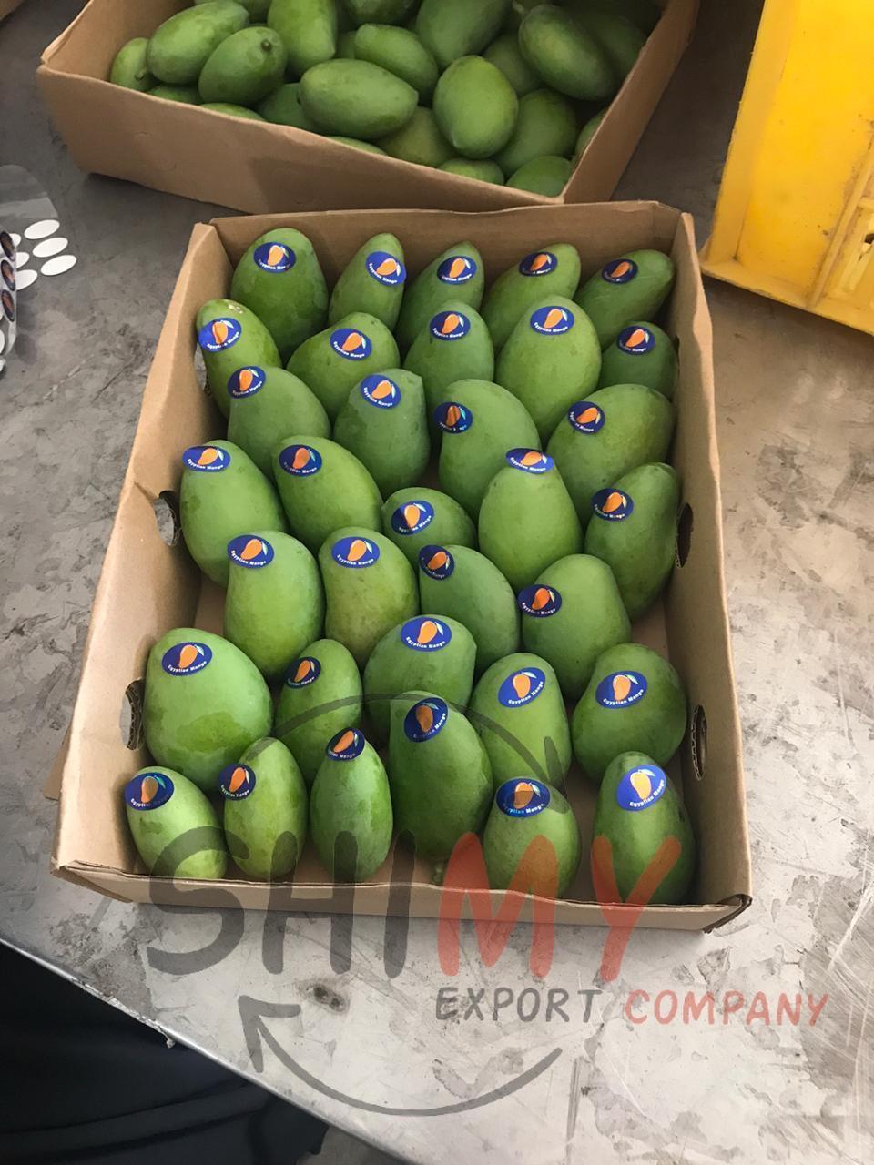 Fresh Mango