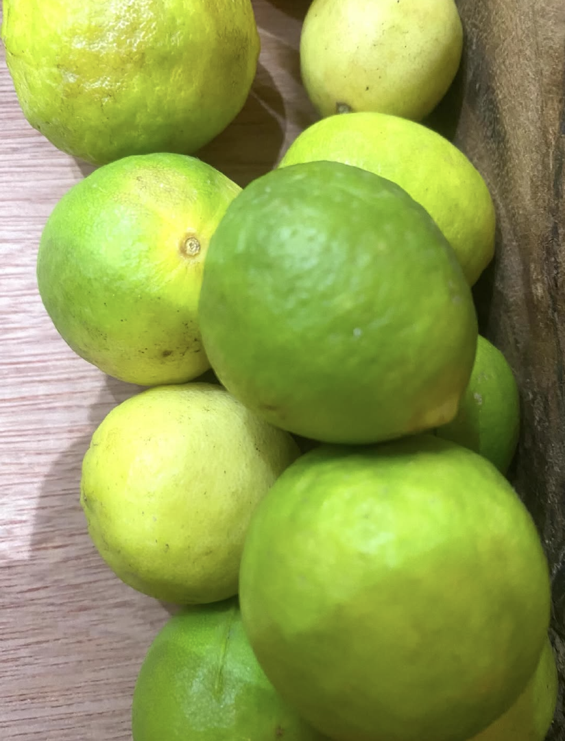 Fresh Clean Citrus Lemons Premium Quality Export Grade Organic No Origin Spain Grade Premium fresh citrus lemons Feature Fresh, clean citrus aroma