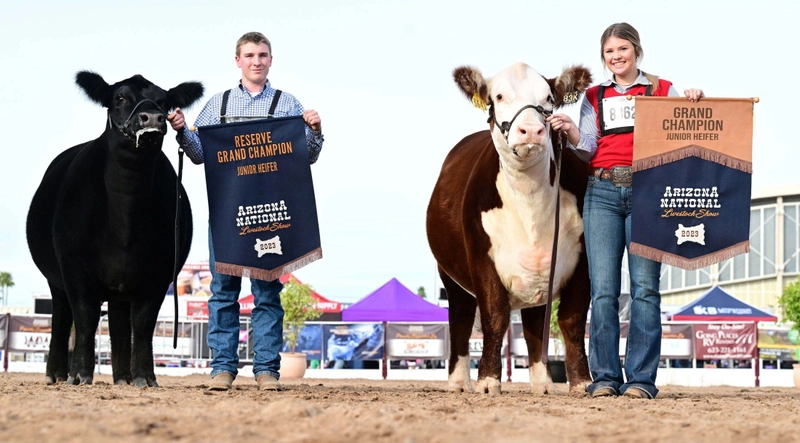 Arizona National Livestock Show Revealed: B2B Opportunity - 2