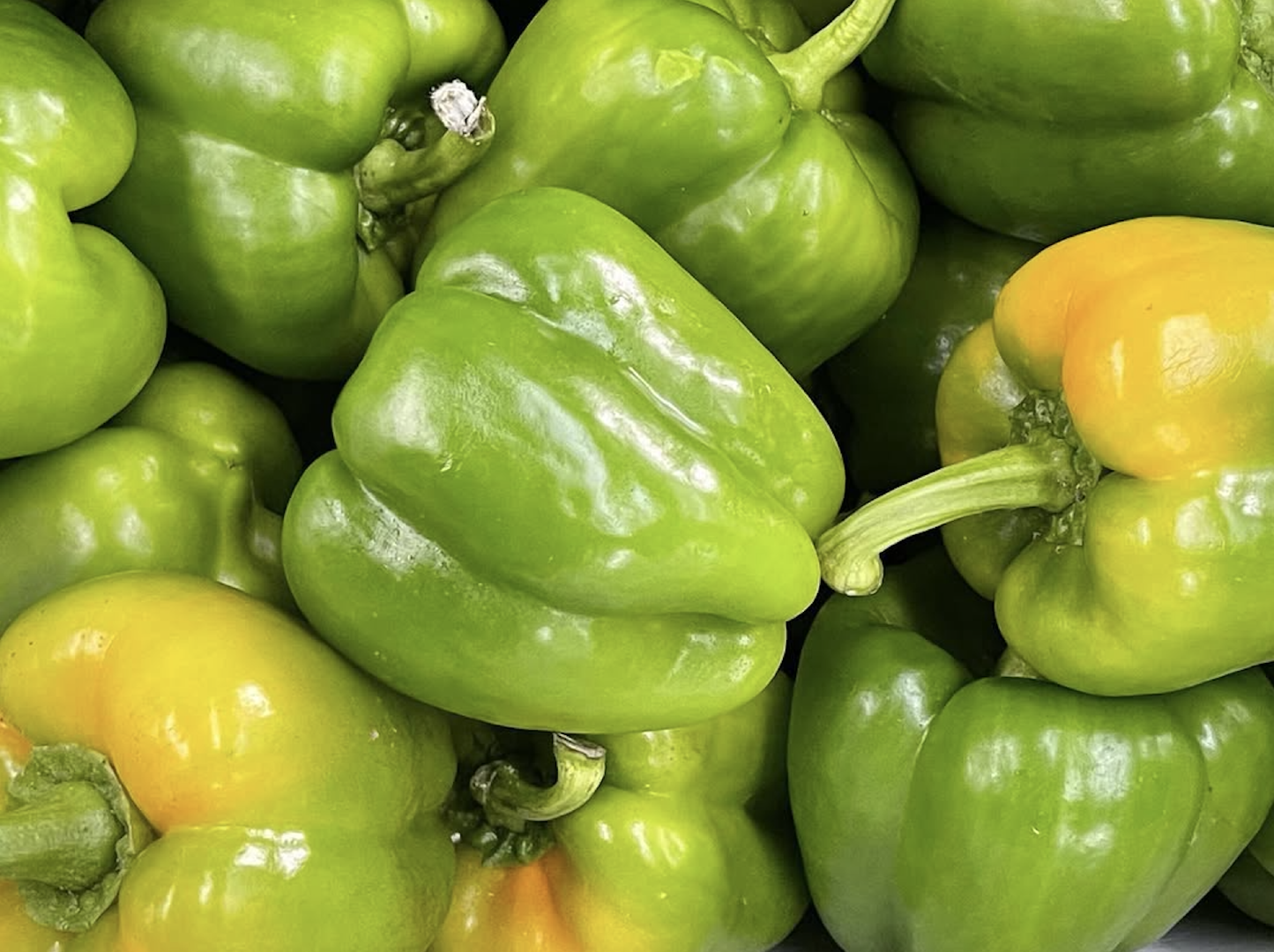 MIXED FRESH CAPSICUMS GEMUSE PAPRIKA MIX 500g READY EXPORT