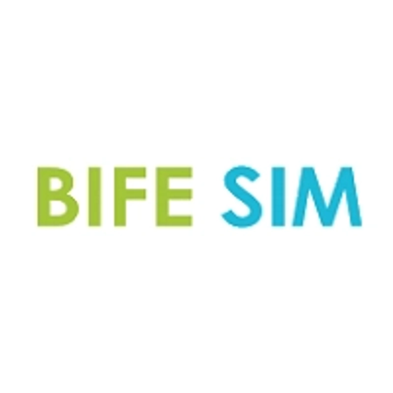 Why BIFE - SIM Matters for B2B