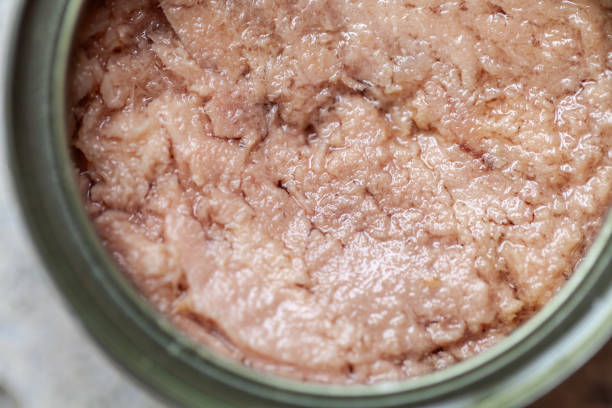 A Comprehensive Guide to Sourcing High-Quality Tuna: Top 7 Tuna Suppliers in Ukraine in Year 2025