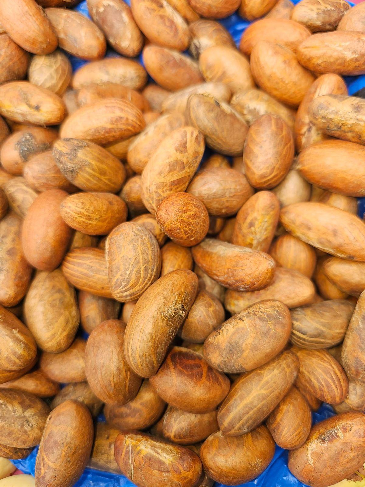 Premium Bitter Kola (Garcinia Kola) – Large Dried Nuts, Cameroon Origin | Bulk Wholesale – product thumbnail, market insight supplier card