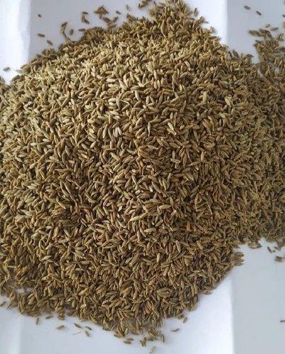 Buy high-quality cumin seeds (Cuminum cyminum) at wholesale prices. Export-grade, 99% purity, machine-cleaned, and sortex available. Ideal for spice blends, curries, bakery, and medicinal use. Bulk supply with worldwide shipping.