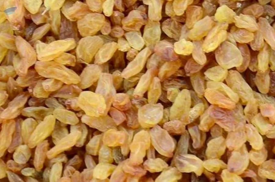 Organic Raisin