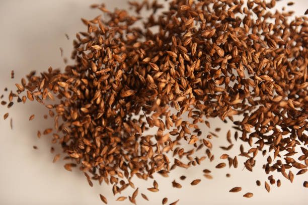 Your Expert Guide to Procuring Top-Tier Flower Seeds: Top 3 Flower Seeds Suppliers in Kenya in August 2025