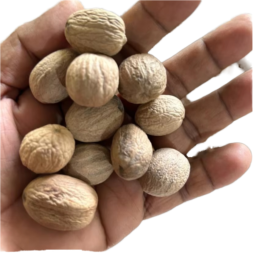 Premium Natural Nutmeg Wholesale Exporter – Carefully Selected Grade A Nutmeg Seeds and Powder Offering Rich Aroma, Warm Flavor, and High Essential Oil Content, Perfect for Culinary Use, Bakery Industry, Beverage Production, Confectionery, and Spice Blending Applications, Supplied in Bulk Quantities with Strict Quality Control, International Standard Packaging, and Reliable Worldwide Delivery Service