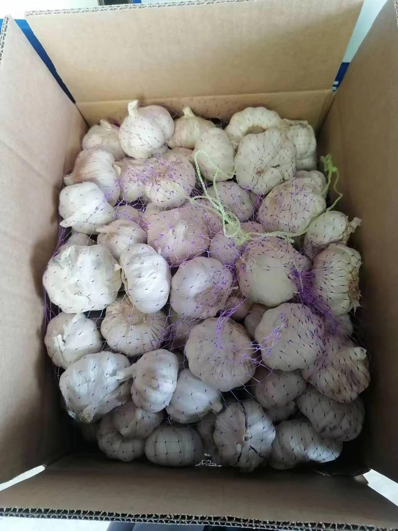 Fresh Agricultural Products