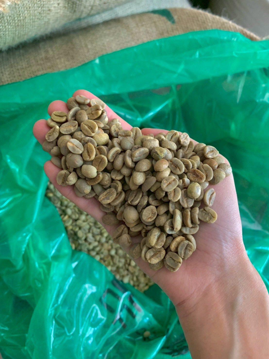 ARABICA COFFEE BEANS