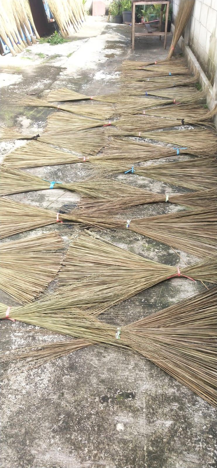 Discover the Top 3 Coconut Suppliers in Indonesia - 1