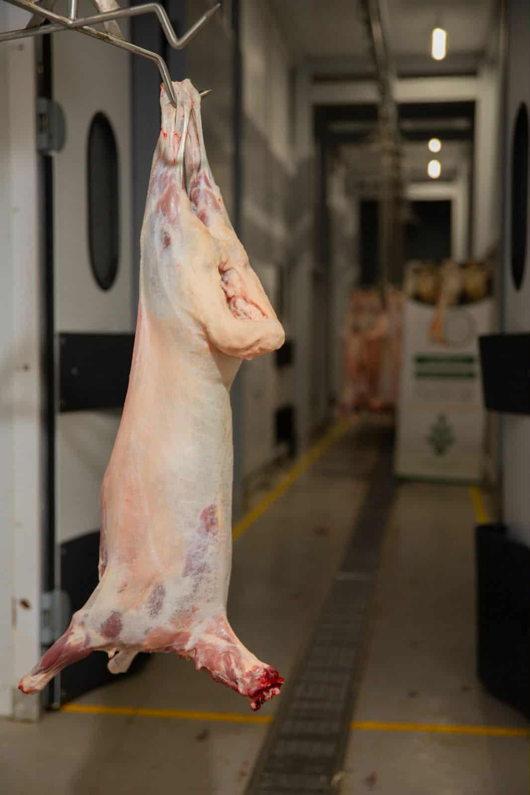 Lamb slaughtered according to Islamic rites (Halal)