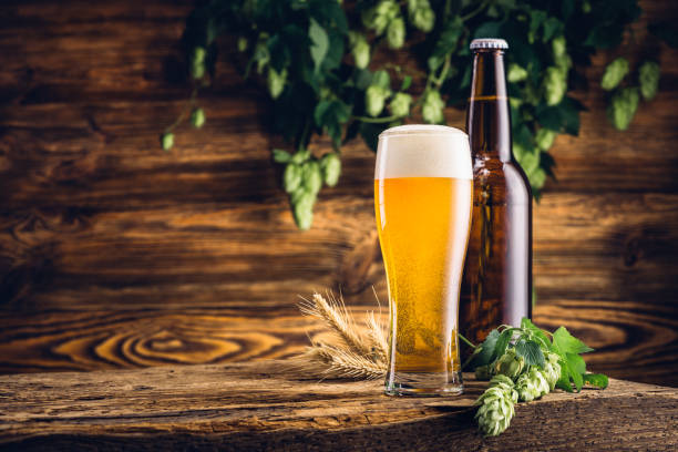 Your Expert Guide to Procuring Top-Tier Beer: Top 10 Beer Suppliers in Egypt in Year 2025
