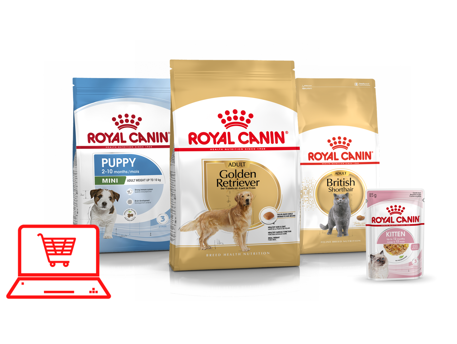 Bulk Pet Food Wholesale Factory High Protein Nutrition Natural Premium Dry Dog Food