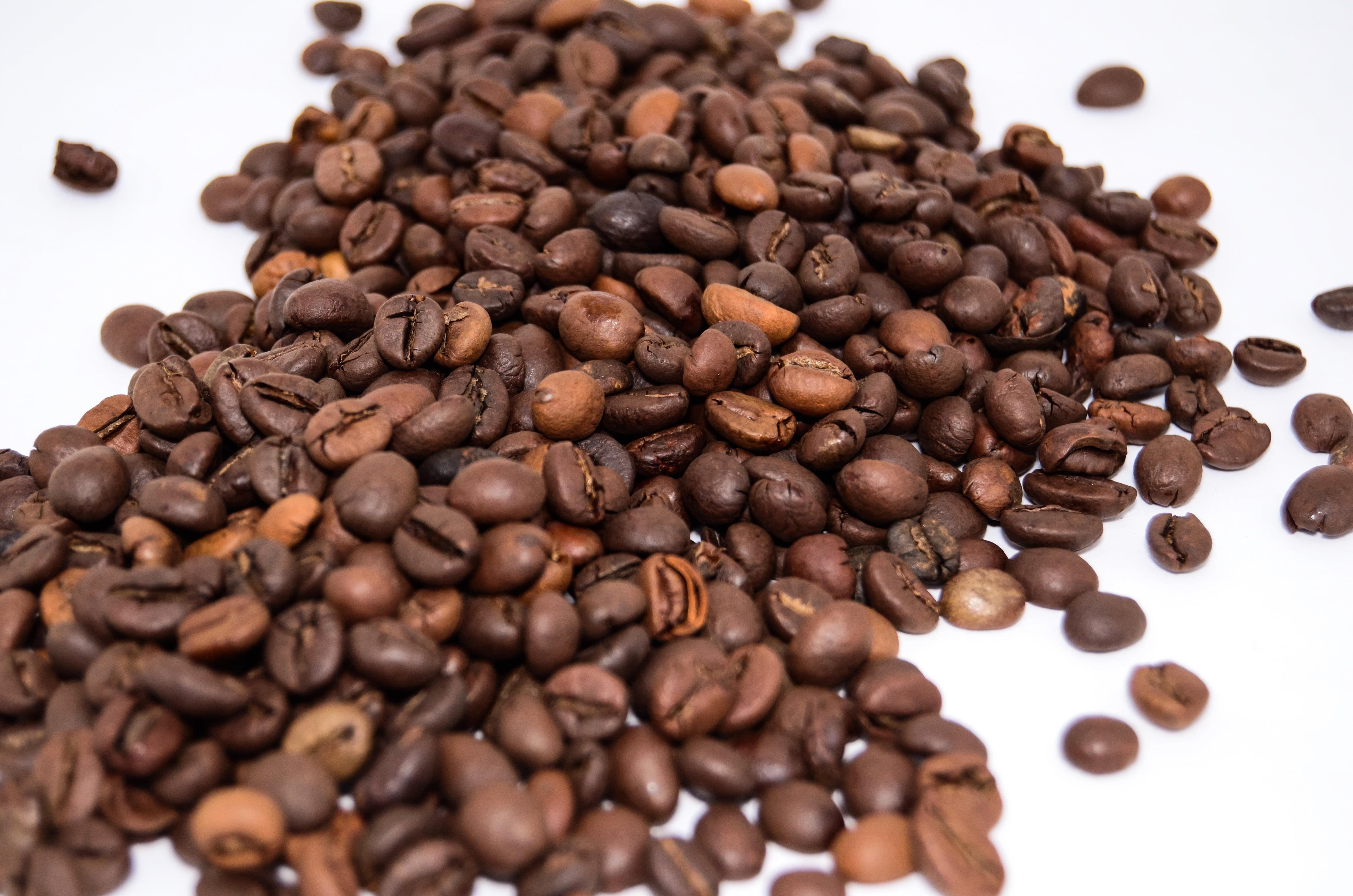 Vietnamese Coffee Beans