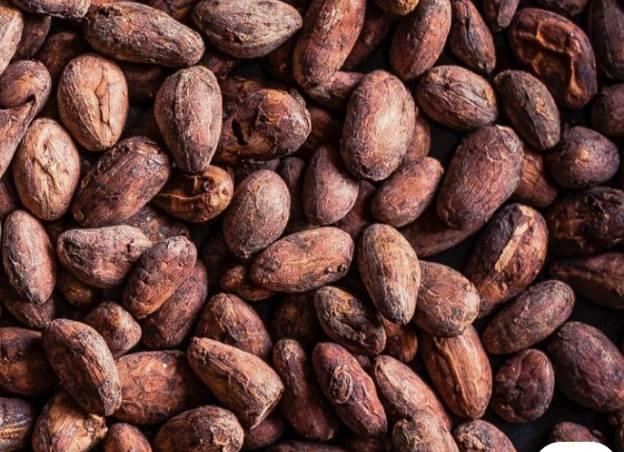 Premium Cocoa Beans Wholesale Bulk Supply Export Quality Grade A Raw Cocoa Beans for Global Buyers