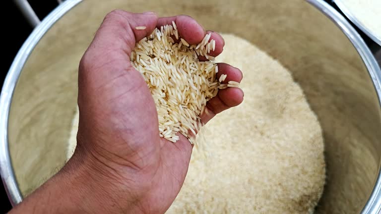 Top 3 Basmati Rice Suppliers in India in Week 26 of 2025 – Market Insights, Export Data & Verified Performers