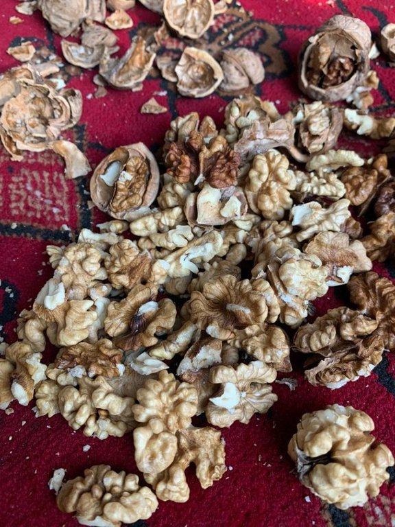 Afghan Walnut Kernels