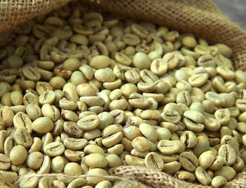 Premium Indonesian Robusta Green Coffee Beans (Grade 1 - 4)