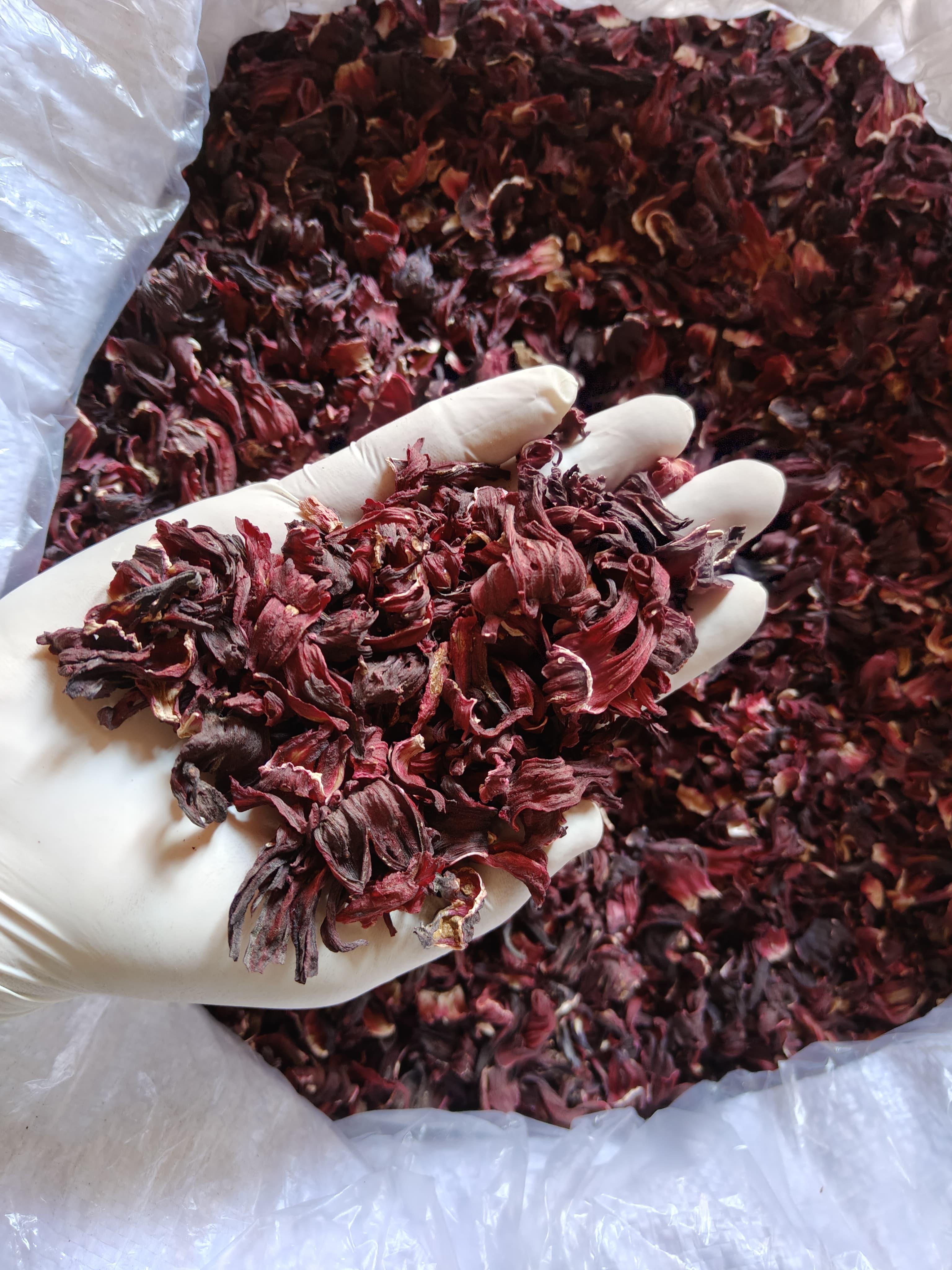 Top 7 Hibiscus suppliers in Egypt — 7 Capabilities Reviewed - 7