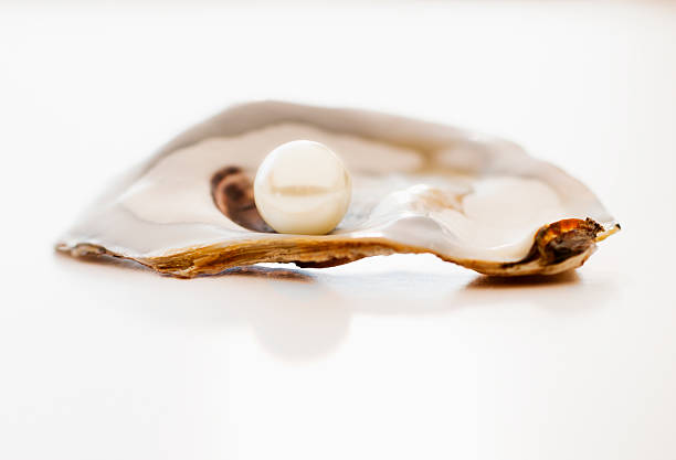 Top 7 Pearl Suppliers in South Africa in 2025: Your Expert Guide to Procuring Top-Tier Pearl