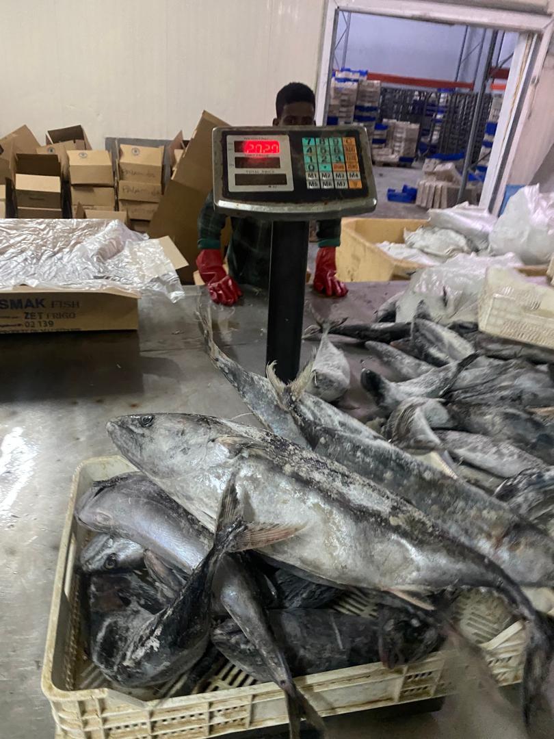 ASMAK Fish Product 1