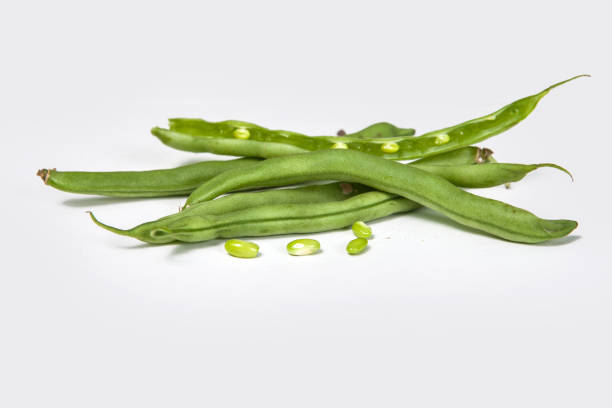 Top 9 Beans Suppliers in France in Quarter 3 of 2025