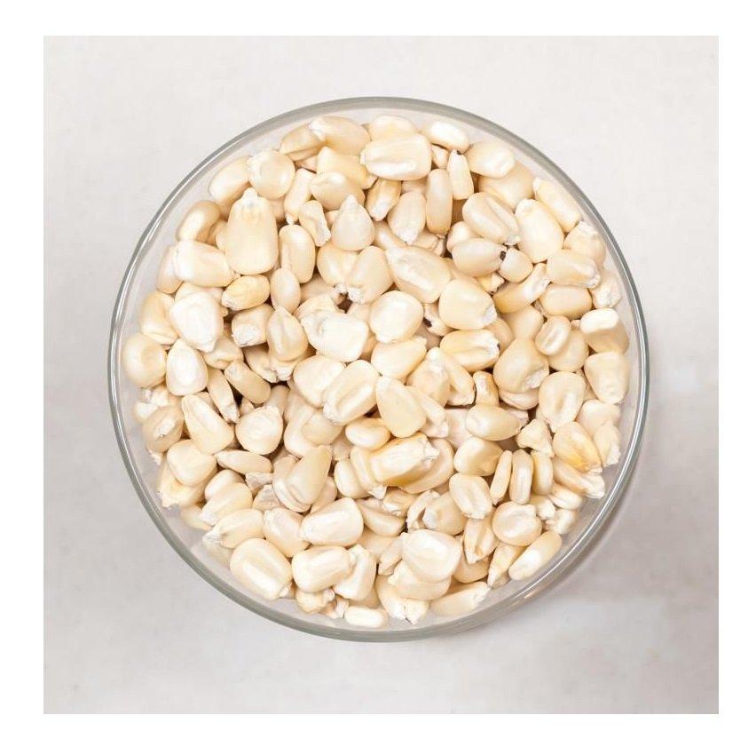 High Quality White Corn Maize Grains for Animal Feed / White Maize Seeds