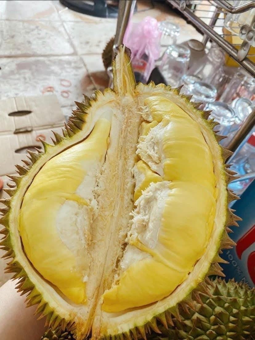 Durian Frozen Meat Frozen Grade A & B