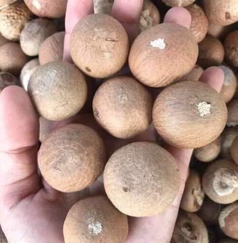 Pistachios Fiber Content 12–15% Moisture Content 5–7% Protein Content 20–25% Aflatoxin Level <4 Ppb Oil Content 50–55% (natural