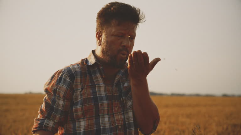 Top 7 Harmonica Suppliers in India in November 2025