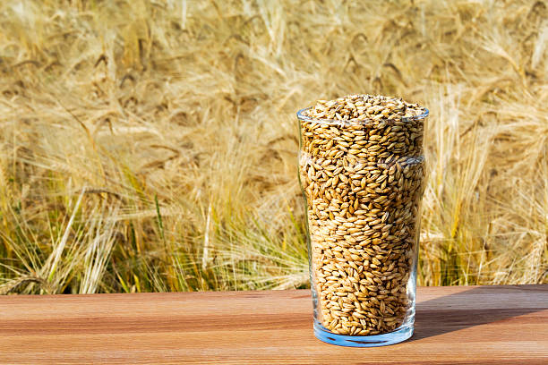 Top 3 Beer Suppliers in China in July 2025: Urgent Update on a Rapidly Shifting Market