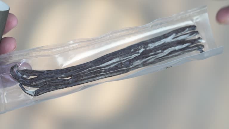 Top 10 Vanilla Suppliers in Belgium in August 2025