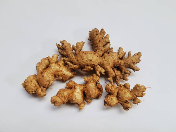 Top 8 Ginger Suppliers in Germany in August 2025