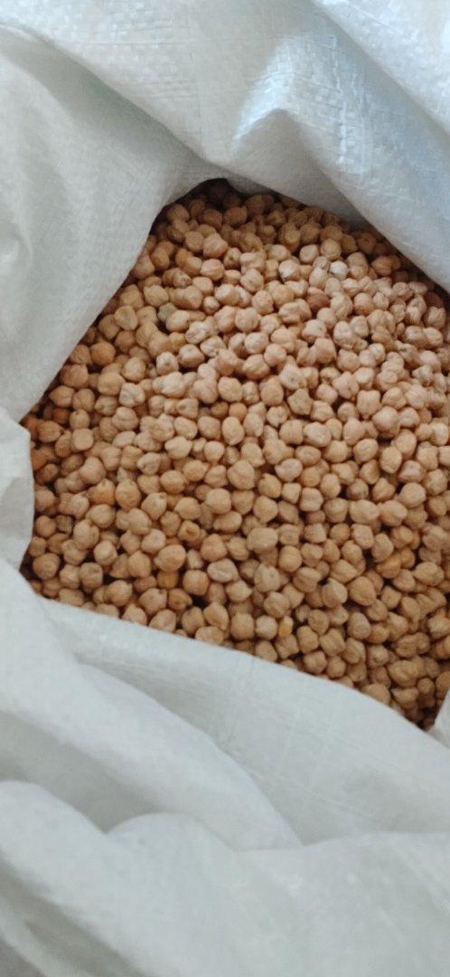 Kabuli Chickpeas, creamy color, 7mm -8.5 mm size