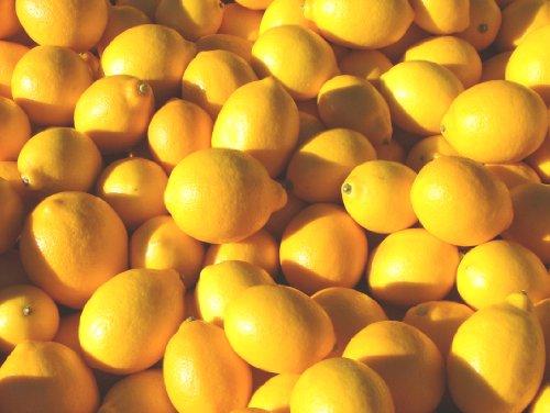 Fresh Lemon Grade Class 1 Shelf Life Long Flavor Fresh And Vibrant, Maximum Flavor Quality Standards International Standards