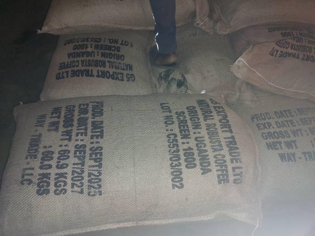 ROBUSTA COFFEE BEANS Coffee Type Robusta Screen Sizes 12, 15, And 18