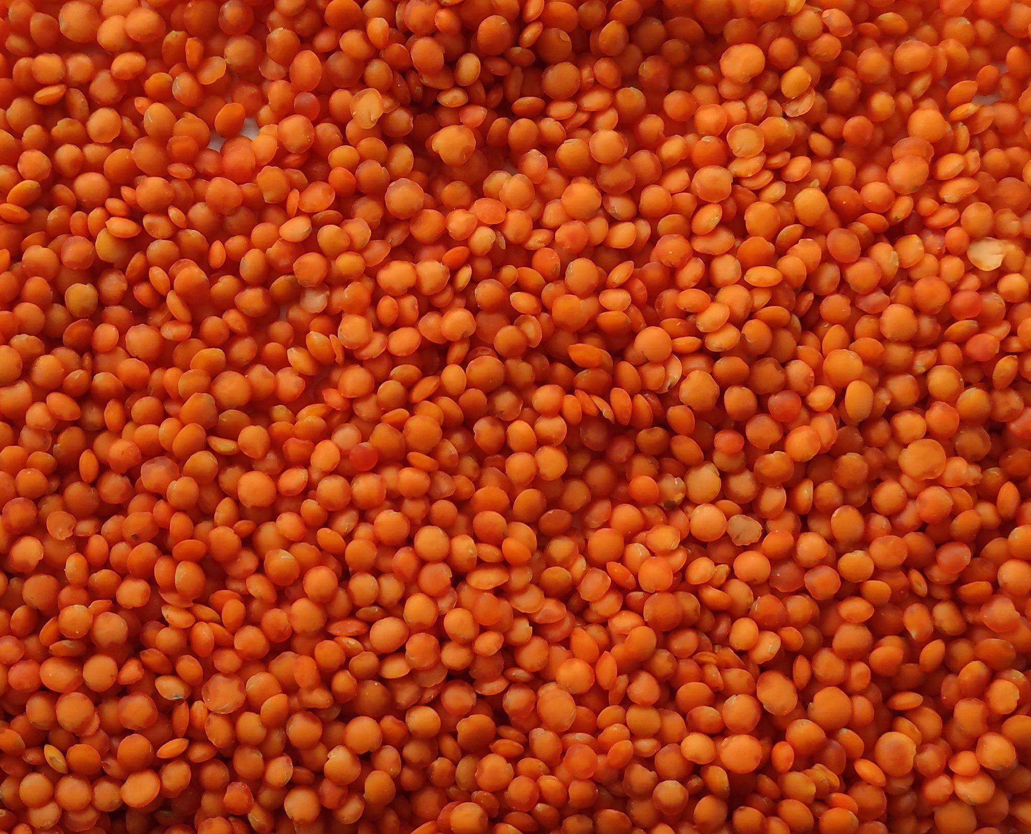 Red Lentils/ Canada Red Lentils / Red Split and Football Red type Red Lentils