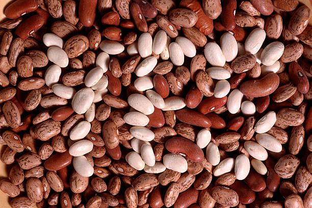 Your Expert Guide to Procuring Top-Tier Bean: Top 9 Bean Suppliers in China in July 2025