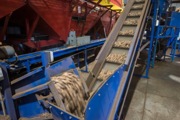 Your Expert Guide to Procuring Top-Tier Biomass Briquette Machines: Top 4 Biomass Briquette Machines Suppliers in China in Year 2025