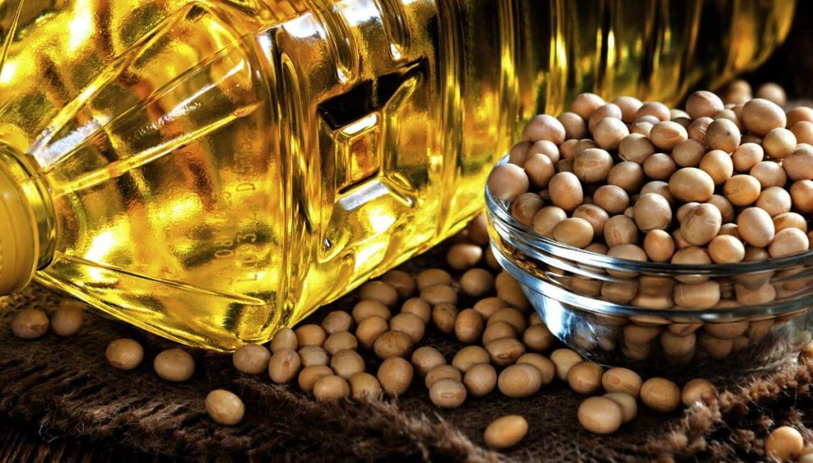 Meet the Top 4 Soybean suppliers in Germany - 2