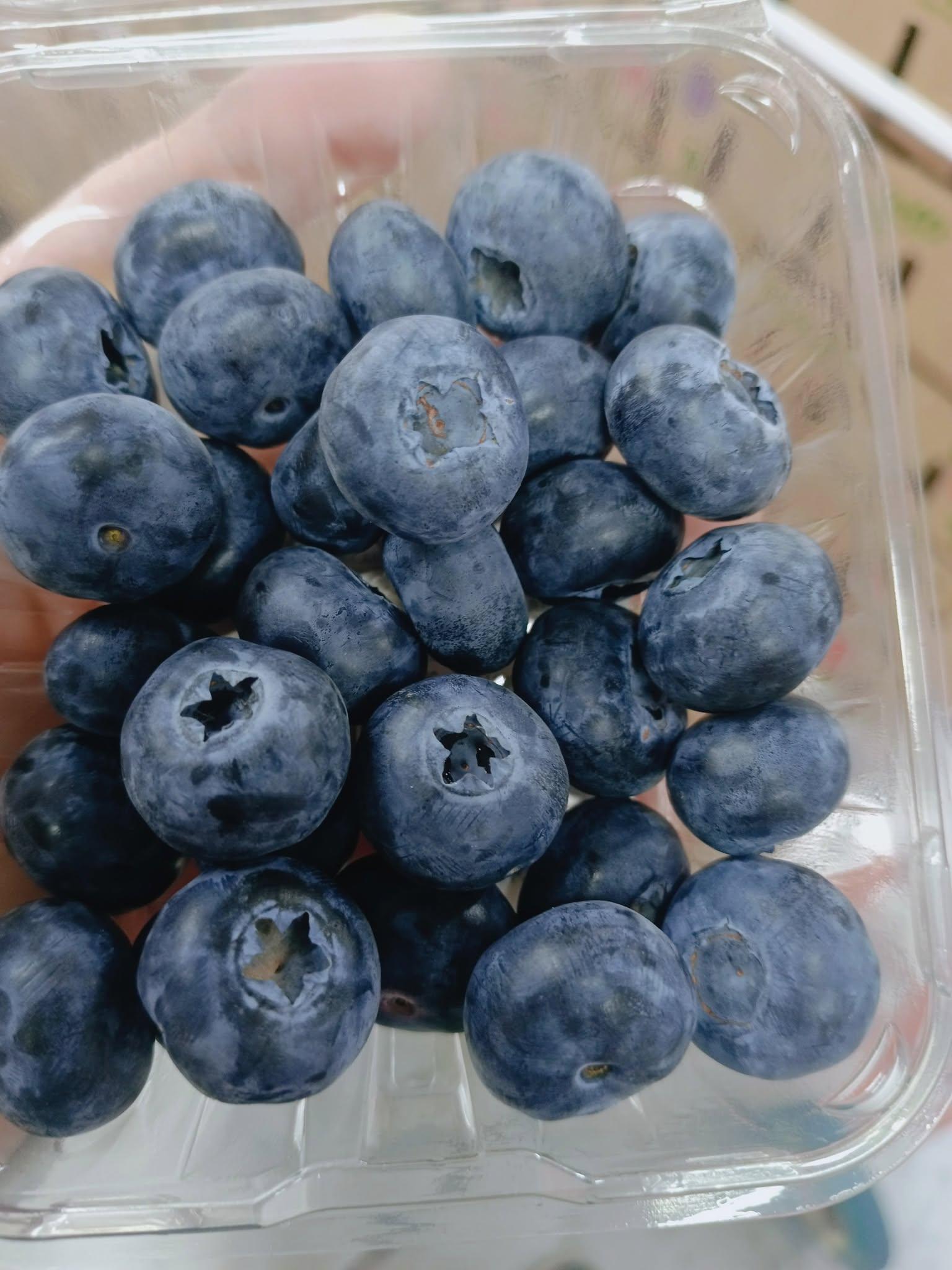 Blueberry Facility